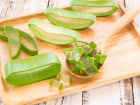 Aloe Veran�n 10 Faydas�