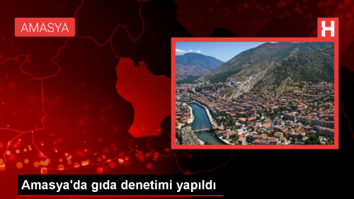 Amasya'da Gda Denetimi Yapld