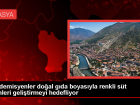 Amasya �niversitesi Akademisyenleri, �ocuklara S�t �r�nlerini Sevdirecek Projeler Y�r�t�yor