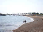 Antalya'da Caretta Caretta'lar, Denizanas� Sand��� Tatilcileri Is�rd�