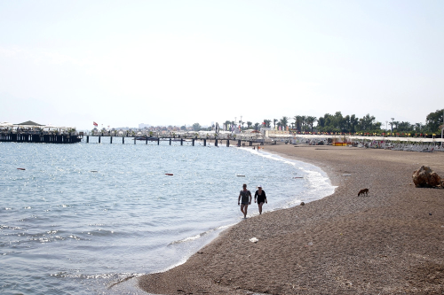 Antalya'da Caretta Caretta'lar, Denizanas Sand Tatilcileri Isrd