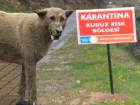 Antalya'da Bölge Karantinaya Alındı