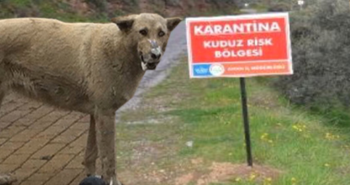 Antalya'da Blge Karantinaya Alnd