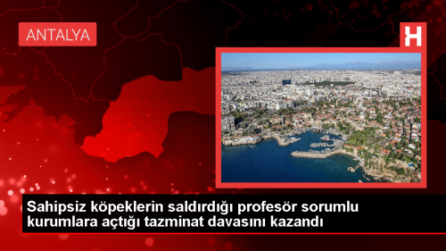 Antalya'da sahipsiz kpeklerin saldrsna urayan kii tazminat kazand