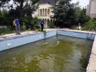 Antalya'da Sivrisinek �ikayetleri Art�yor