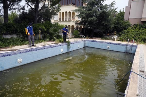 Antalya'da Sivrisinek ikayetleri Artyor