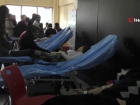 Ardahan'da K�k H�cre ve Kan Ba����
