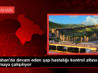 Ardahan'da �ap Hastal��� Kontrol Alt�na Al�n�yor
