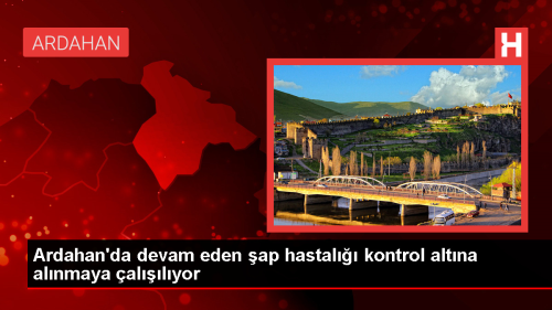 Ardahan'da ap Hastal Kontrol Altna Alnyor