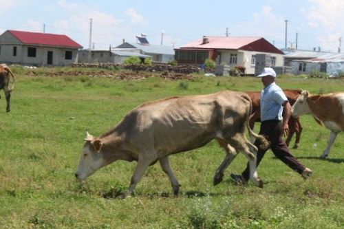 Ardahan'da ap Hastal Nedeniyle Kyler ve Mahalleler Karantinaya Alnd