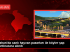 Ardahan'da �ap Hastal���na Kar�� Karantina Uygulamas� Ba�lat�ld�
