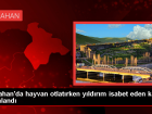 Ardahan'da Y�ld�r�m �sabeti Sonucu Yaralanan Kad�n Hastaneye Kald�r�ld�