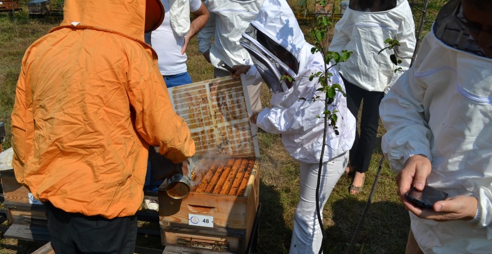 Arclar Rotalarn Ar Zehrine evirecek