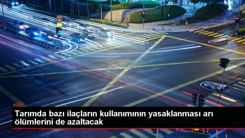 Arclk sektr iin ila yasa byk nem tayor
