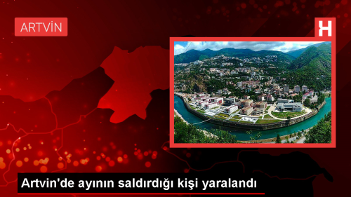 Artvin'de Ay Saldrsna Urayan Kii Yaraland