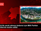 Artvin'de yaral� atmaca tedavisi i�in Milli Parklar yetkililerine teslim edildi