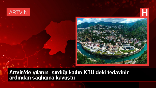 Artvin'de ylann srd kadn KT'deki tedavinin ardndan salna kavutu