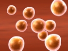 Asla Bilin�sizce Vitamin Kullanmay�n!