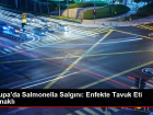 Avrupa'da Salmonella Salg�n�: Enfekte Tavuk Eti Kaynakl�
