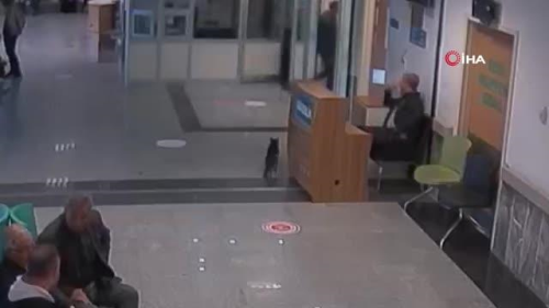Aya krlan kedi acil servisin yolunu tuttu