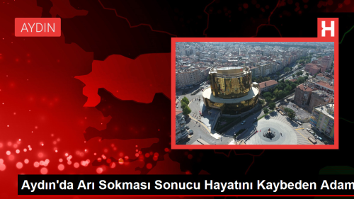 Aydn'da Ar Sokmas Sonucu Hayatn Kaybeden Adam