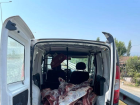 Ayd�n'da Sa�l�ks�z �artlarda Ta��nan 300 Kilo B�y�kba� Hayvan Eti Ele Ge�irildi
