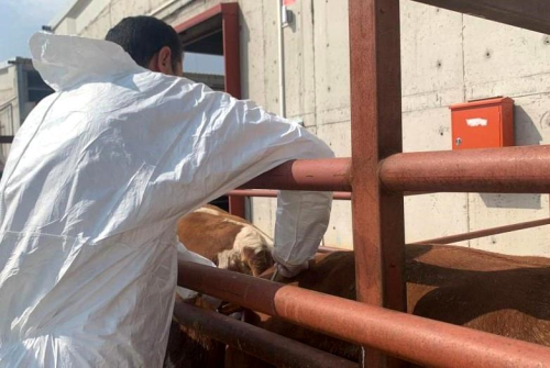 Aydn'da Sonbahar ap Alama Kampanyas Balad
