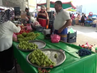 'Ayd�n inciri' Mu�la'da pazar tezgahlar�n� s�sl�yor