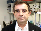Aykut �zdarendeli kimdir? Aykut �zdarendeli nereli, ka� ya��nda? Aykut �zdarendeli biyografisi