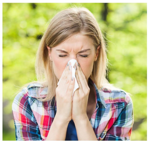 Bahar alerjisi burun tkanklna neden olabiliyor!