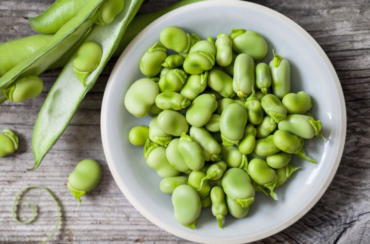 Baklann 8 Mucizevi Faydas!