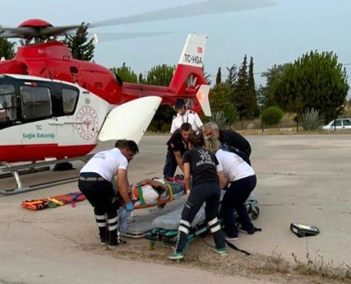 Balkesir'de Ekinlik adasnda aatan den kii yaraland