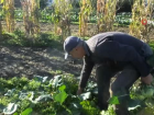 Bal�kesir'de emekli e�itimci hobi bah�esinde 
