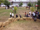 Balıkesir Üniversitesi'nde Down Sendromlu Bireylere Özel Atlı Terapi Etkinliği