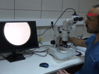 Bal�kesir �niversitesi'nde Embriyo Transferiyle �lk Gebelikler Ger�ekle�ti