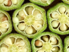 Bamya tohumu nas�l kullan�l�r? Bamya tohumu faydalar�, bamya tohumu hangi hastal�klara iyi gelir?
