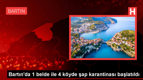 Bartn'da ap Hastal Nedeniyle Hayvan Giri klar Kstland