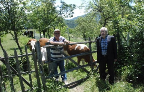 Bartn'da ap Hastal Nedeniyle Hayvan Pazarlar Kapatld