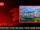 Ba�hekimden �rnek davran��: Yaral� e�e�i tedavi etti