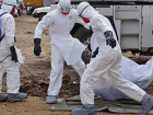 Bat� Afrika'daki Ebola Salg�n�