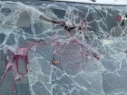 Batman'da ke�iye �arpmamak isterken kaza: 1 �l�, 8 yaral�