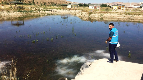 Bayburt'ta Larvayla Mcadelesi