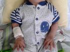 Berk Bebek N�bet Ge�irdi