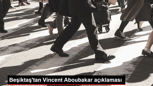 Beiktal Vincent Aboubakar, milli takm kampndan ayrld