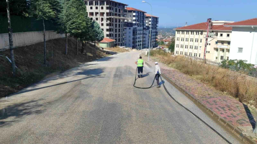 Bilecik Belediyesi Okul Bahelerinde Temizlik ve Ykama almas Yapt