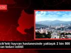 Bilecik'te Hayvan Hastanesi ve Rehabilitasyon Merkezi A��ld�