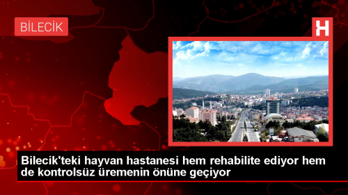 Bilecik'teki hayvan hastanesi hem rehabilite ediyor hem de kontrolsz remenin nne geiyor