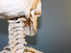 Bilim insanları, kafatasında yeni bir organ bulduklarını açıkladı