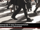 Bilim �nsanlar� Y Kromozomunun Haritas�n� ��kard�