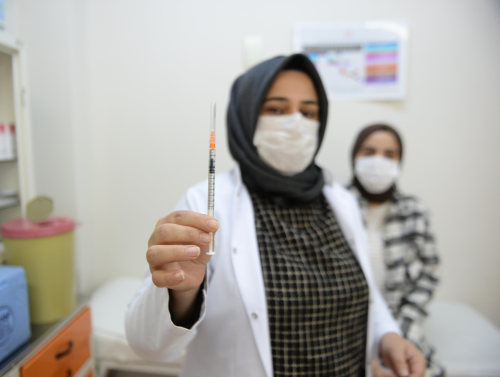 Bingl'de genlerin eksik alarn tamamlamasyla 